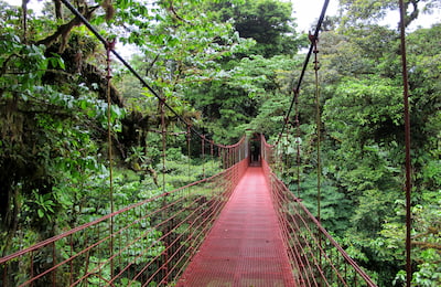 Monteverde