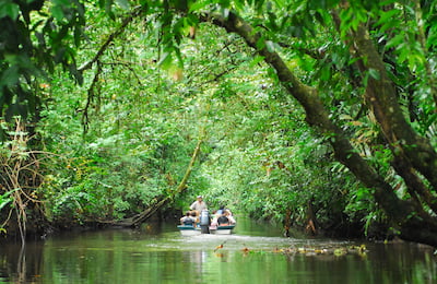 Tortuguero