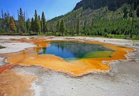 Yellowstone