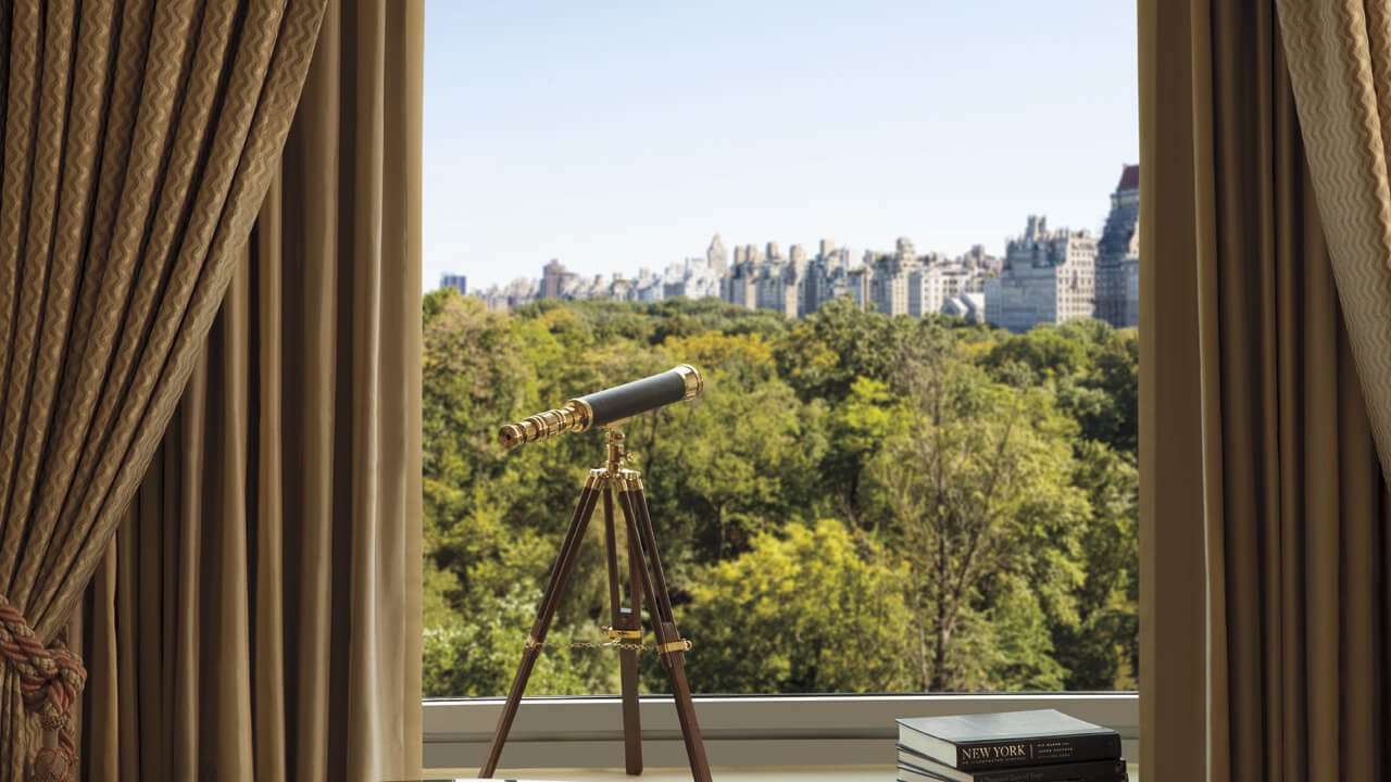 Ventana con vista al parque desde el hotel The Ritz Carlton New York, Central Park