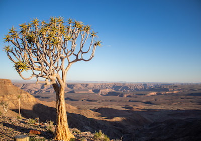 Fish River Canyon