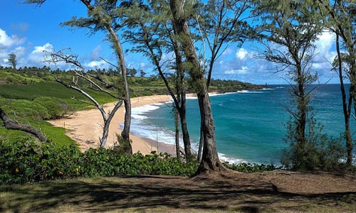 Kapaa