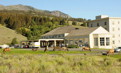 Mammoth Hot Springs