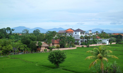Pengosekan