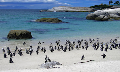 Simon’s Town