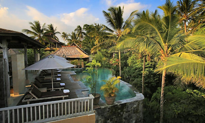 Taman