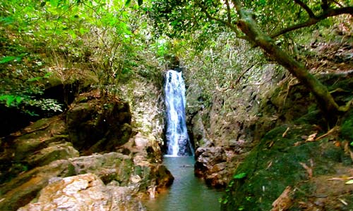 Thalang District