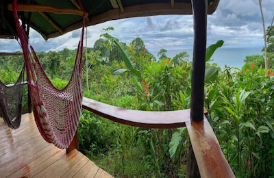 The Osa Peninsula