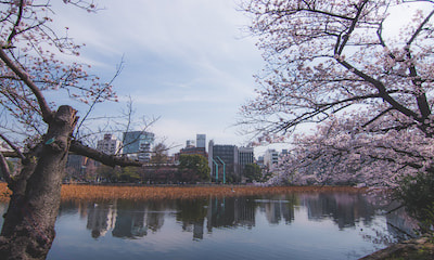 Ueno