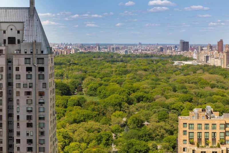 Thompson Central Park