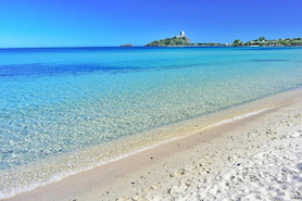 Fichi playa