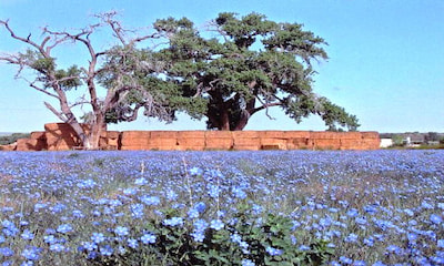 Los Poblanos