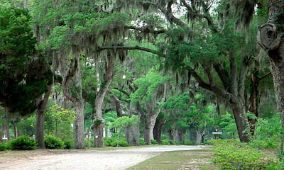 Midtown Savannah