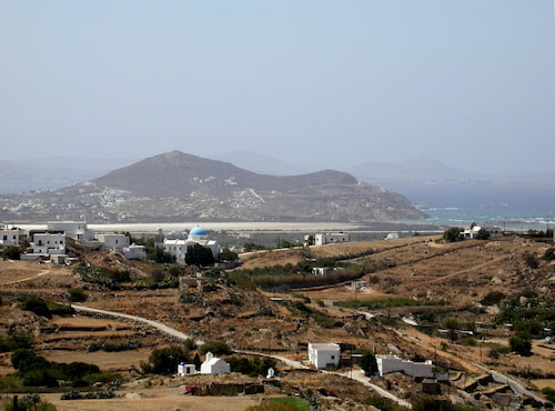 Stelida