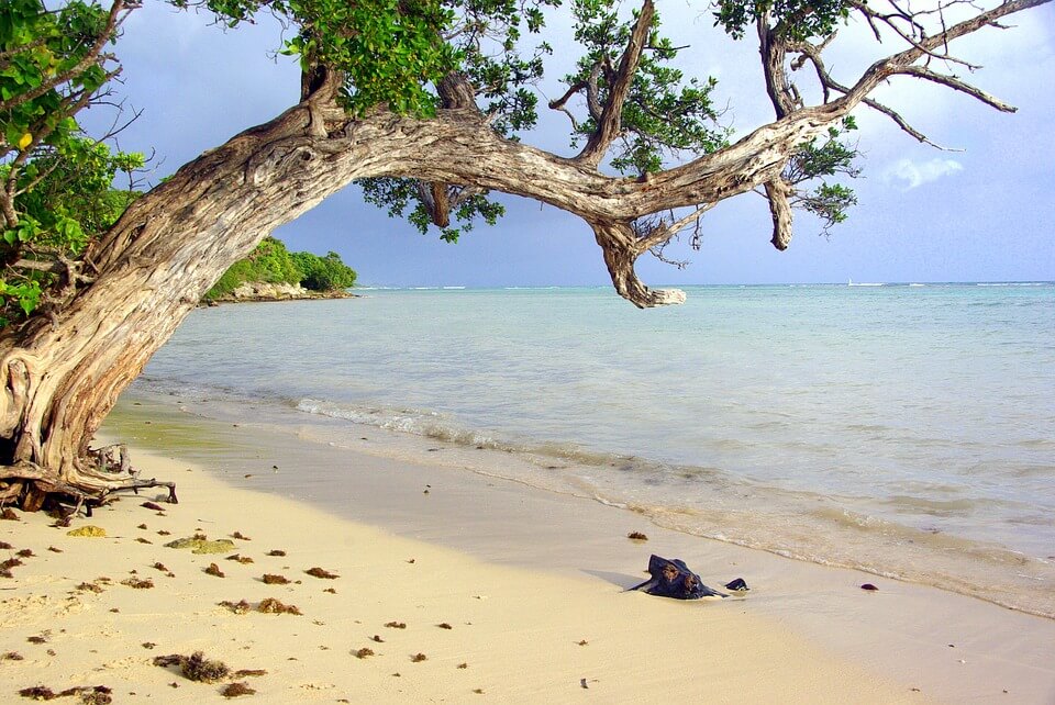 Guadalupe, Caribe