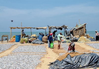 Negombo