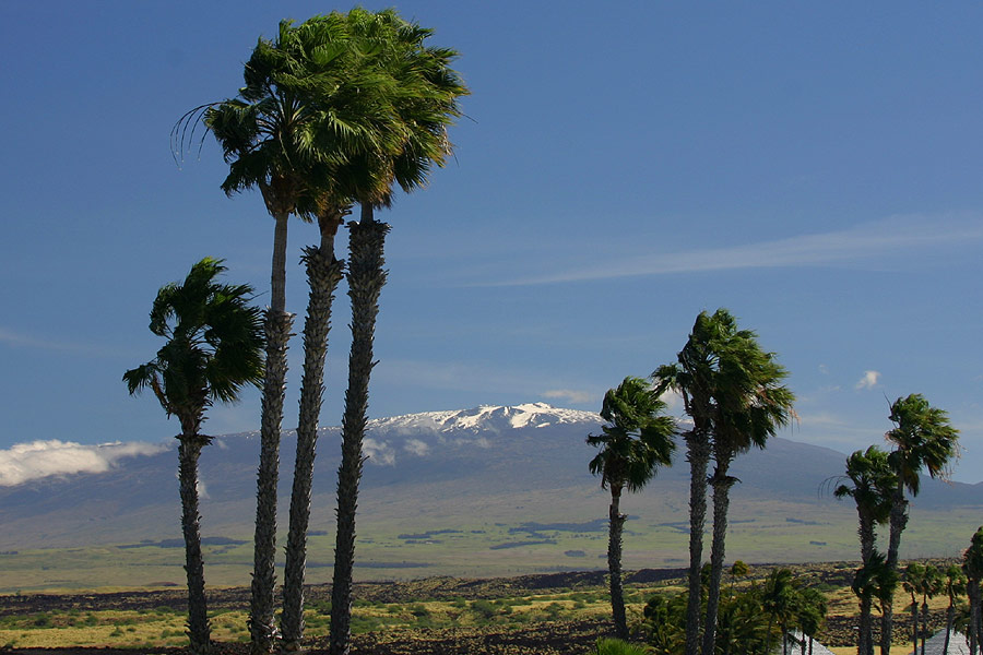 Waikoloa