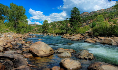 Buena Vista