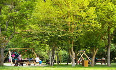 Parc de lÀrc area