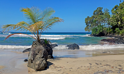 Red Frog Beach